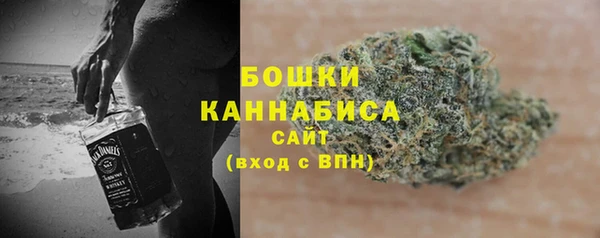 стафф Карпинск