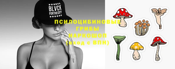 стафф Карпинск