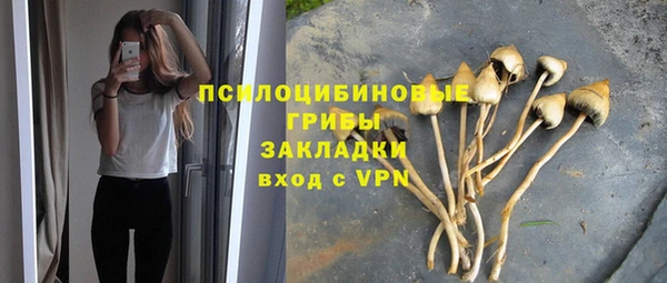 а пвп мука Касимов